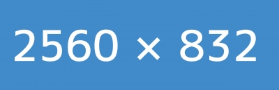 Corporate Ipsum